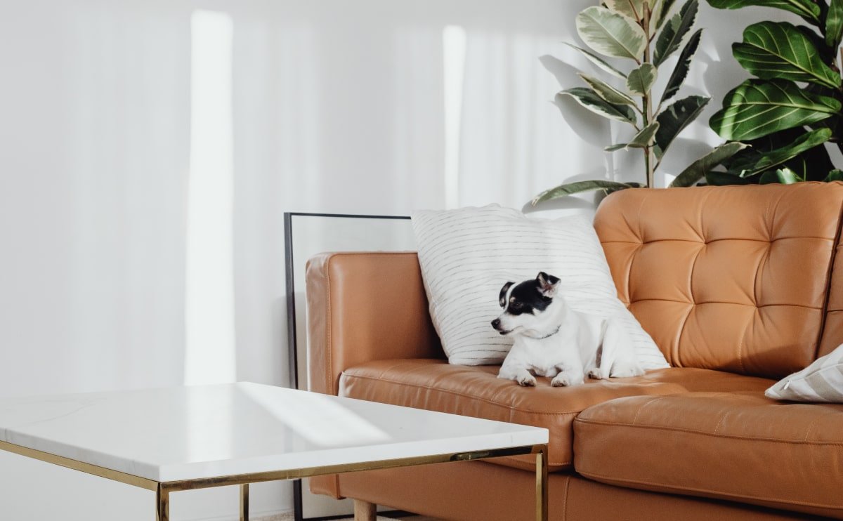 You are currently viewing Flowing serpentines