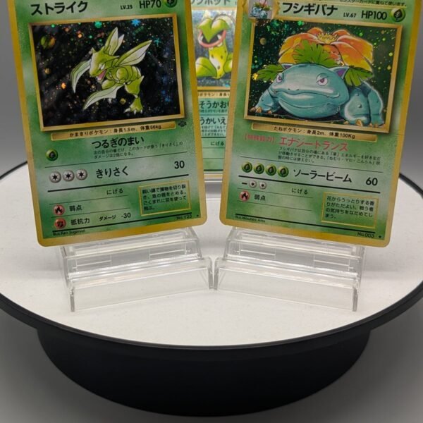 Old Back Plant Pokemon Special Set 3 cards – Pokemon TCG Japanese